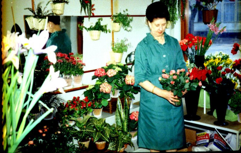 vivanssvenssonsblomsteraffr19661.jpg